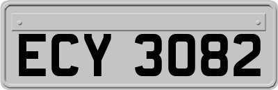 ECY3082