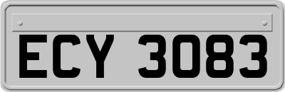ECY3083
