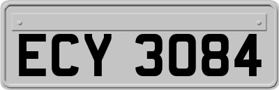 ECY3084