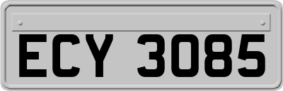ECY3085