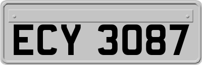 ECY3087
