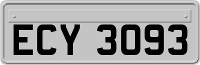 ECY3093