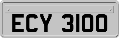 ECY3100