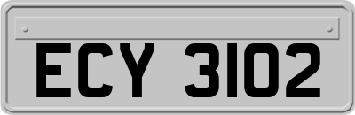 ECY3102