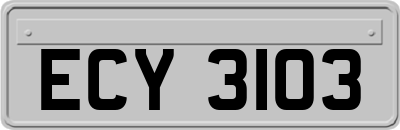 ECY3103