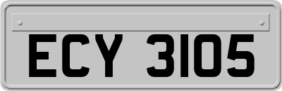 ECY3105