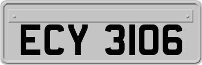 ECY3106
