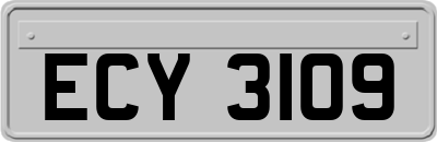 ECY3109