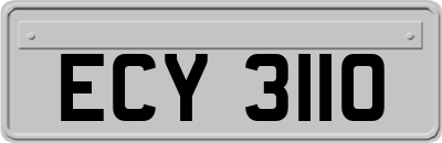 ECY3110