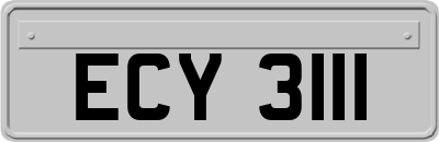 ECY3111