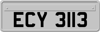 ECY3113