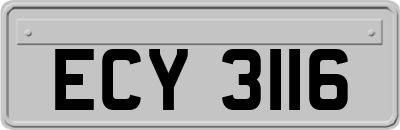 ECY3116