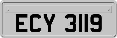 ECY3119