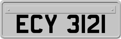 ECY3121