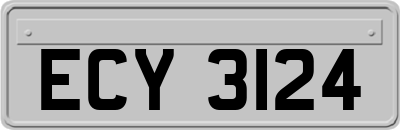 ECY3124
