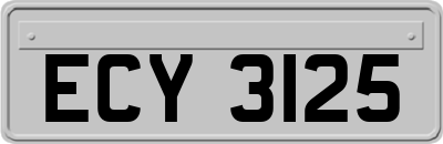 ECY3125