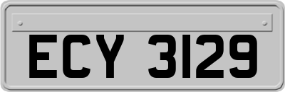 ECY3129