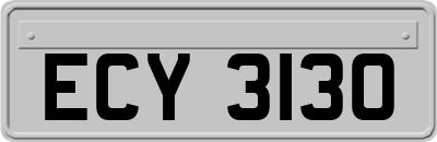 ECY3130