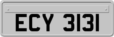ECY3131