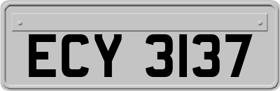 ECY3137