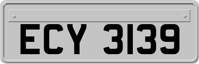 ECY3139