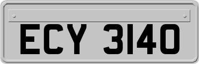 ECY3140