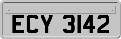 ECY3142