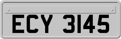 ECY3145