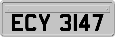ECY3147