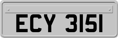 ECY3151