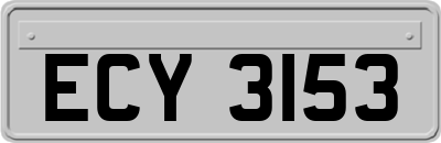 ECY3153