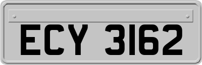 ECY3162