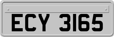 ECY3165