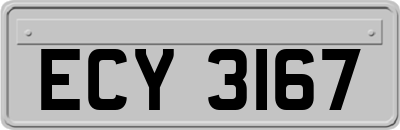 ECY3167