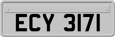 ECY3171