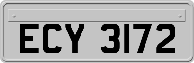 ECY3172