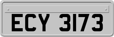 ECY3173