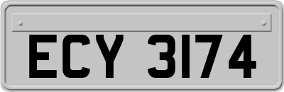 ECY3174