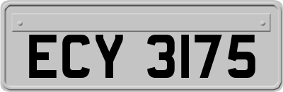 ECY3175