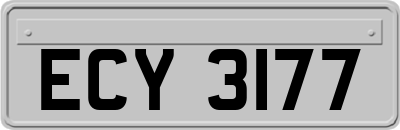 ECY3177