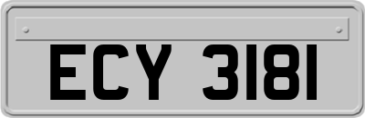 ECY3181