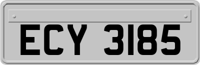 ECY3185