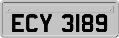 ECY3189