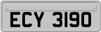 ECY3190