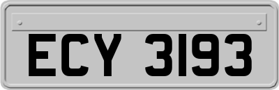 ECY3193