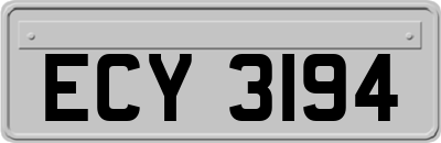 ECY3194