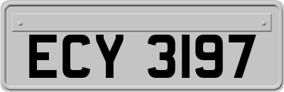 ECY3197