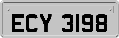 ECY3198