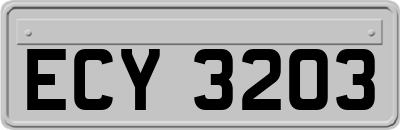 ECY3203