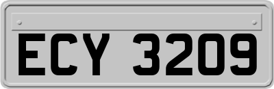 ECY3209